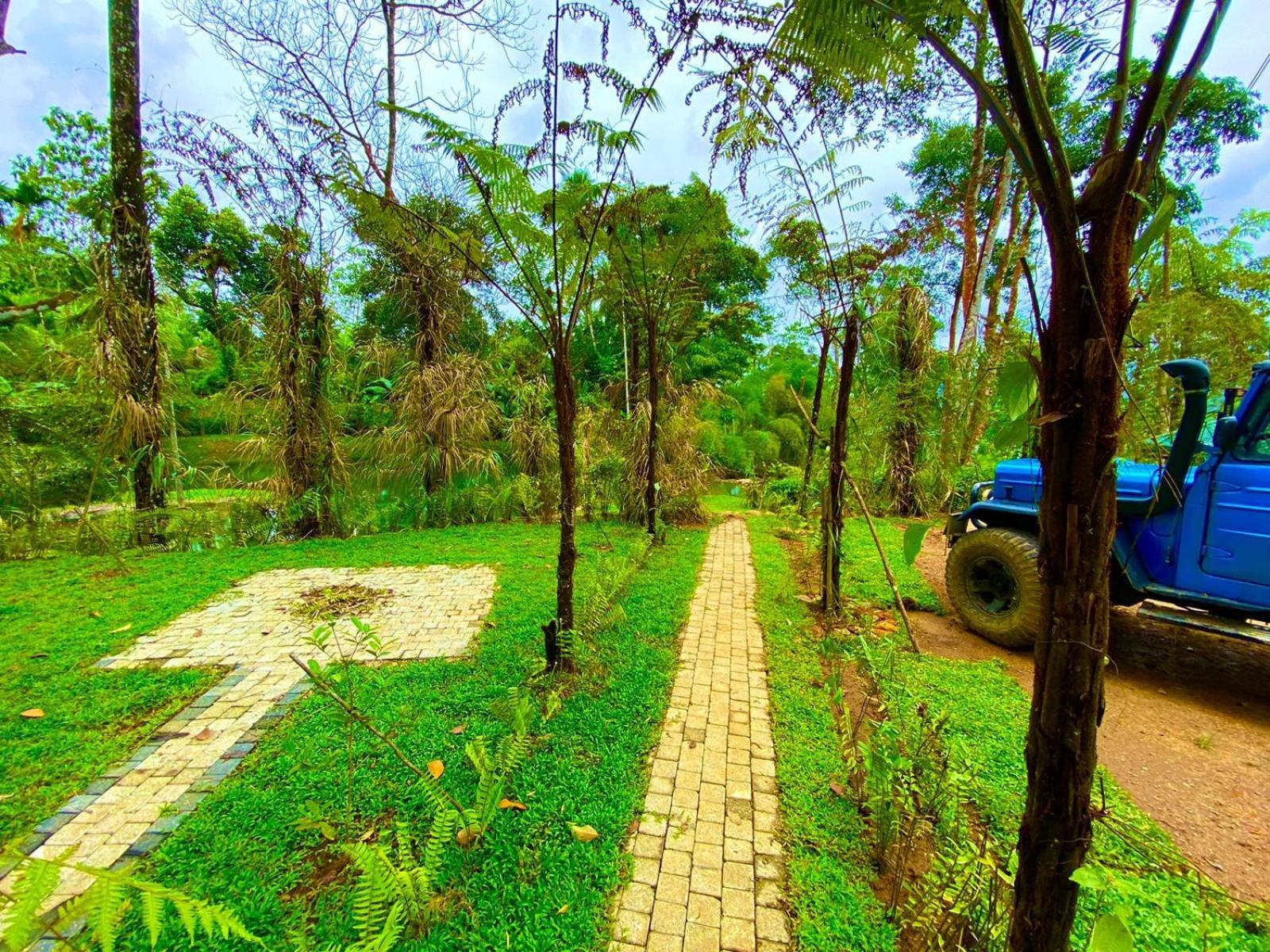 Mist Of Sinharaja Eco Lodge Nelluwa Extérieur photo